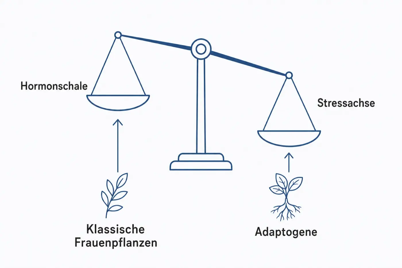 Grafik einer gekippten Waage: links die leichter werdende Hormonschale, rechts die Stressachse, darunter zwei Pflanzengruppen.