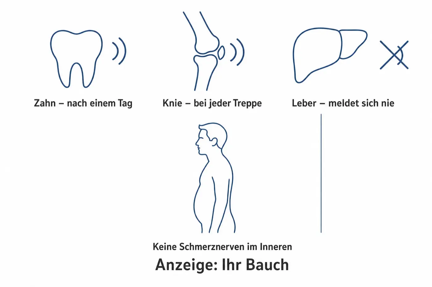 Grafik mit drei Piktogrammen: Zahn, Knie und Leber, darunter die Silhouette eines Bauchs
